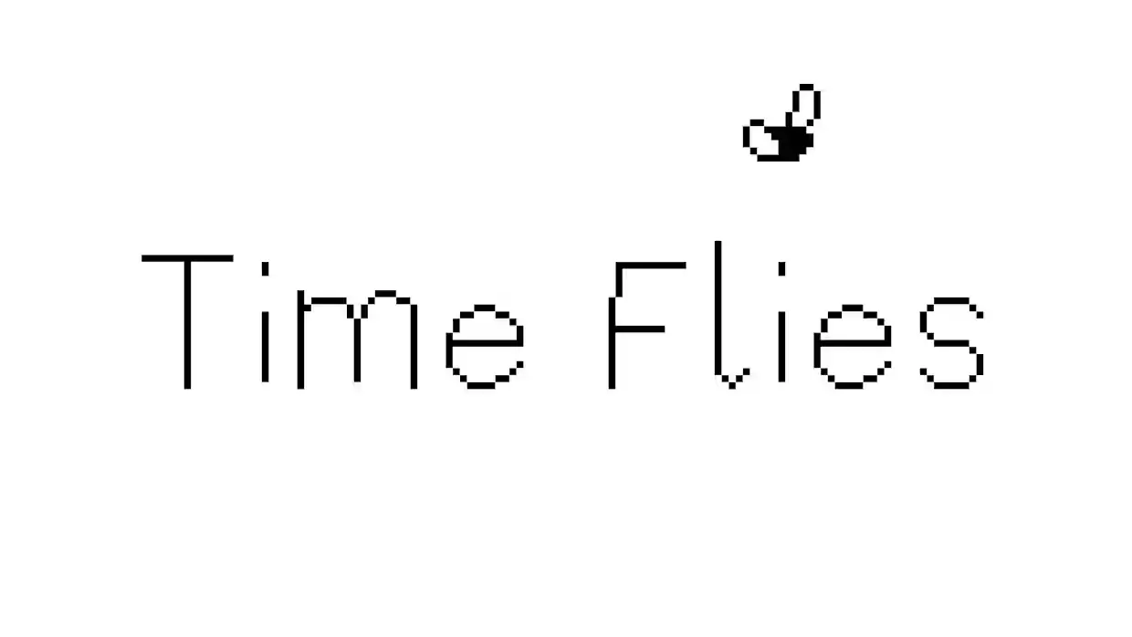逝者如斯蝇|Time Flies中文