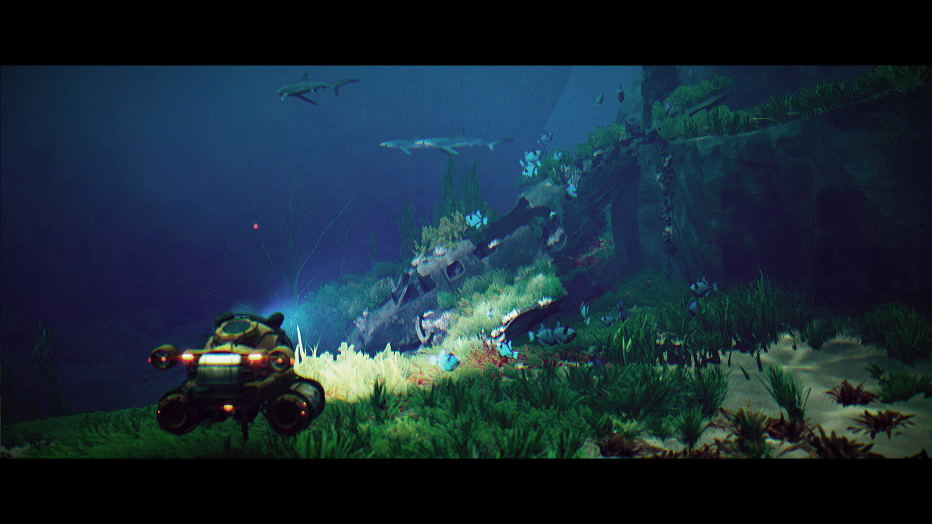 碧波之下|Under the Waves中文
