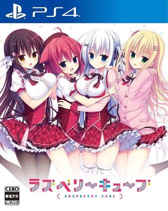 树莓立方体|Raspberry Cube日文