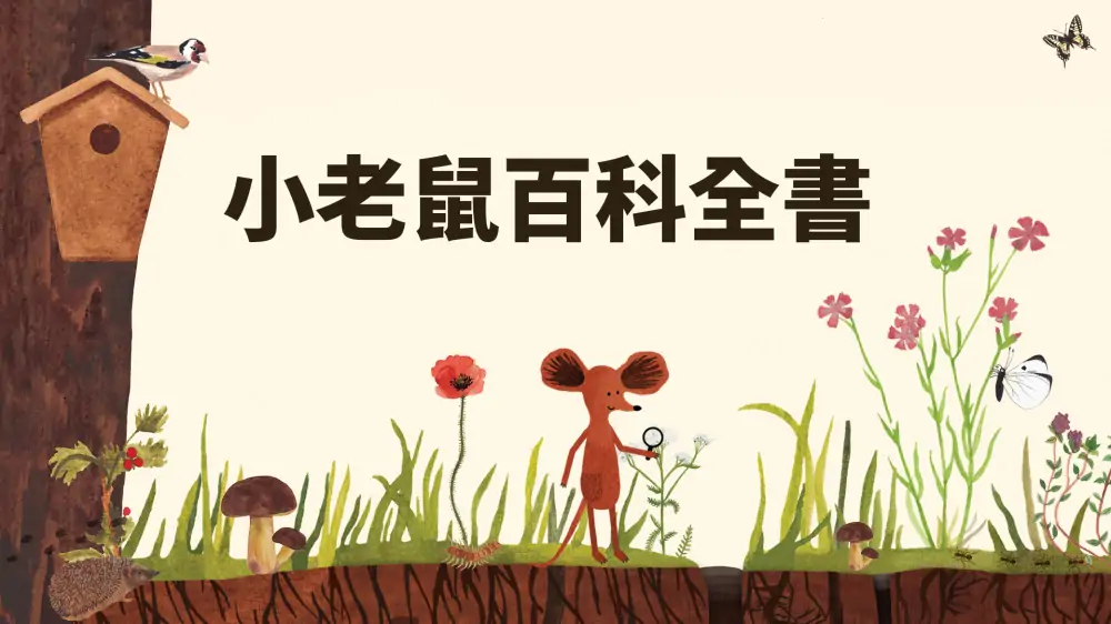 小老鼠的百科全书|Little Mouse’s Encyclopedia中文