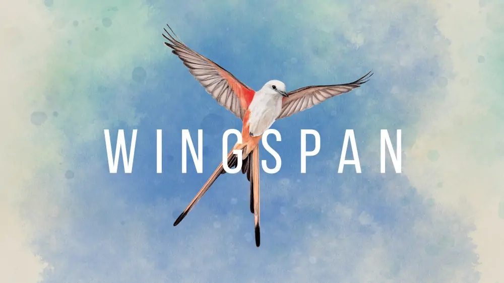 展翅翱翔|Wingspan中文