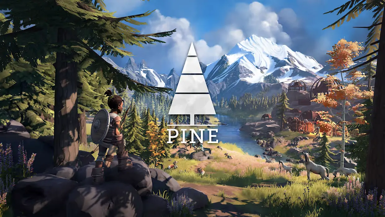 松树|Pine中文