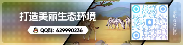 游戏详情图