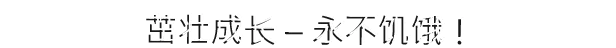 游戏详情图