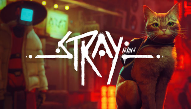 迷失|Stray